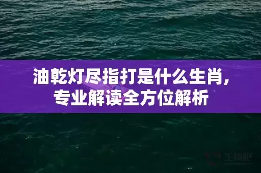 油乾灯尽指打是什么生肖,专业解读全方位解析插图