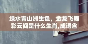 绿水青山洲生色，金龙飞舞彩云间是什么生肖,成语含义深度解读