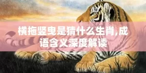 横拖竖曳是猜什么生肖,成语含义深度解读