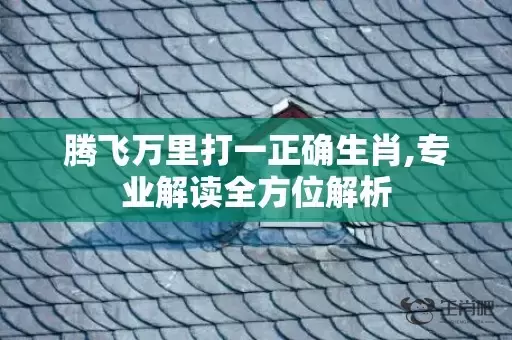 腾飞万里打一正确生肖,专业解读全方位解析插图