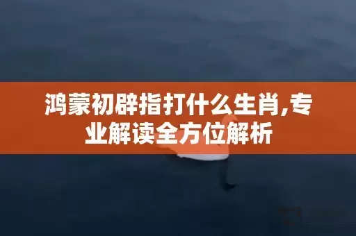 鸿蒙初辟指打什么生肖,专业解读全方位解析插图