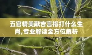 五官精美献吉言指打什么生肖,专业解读全方位解析