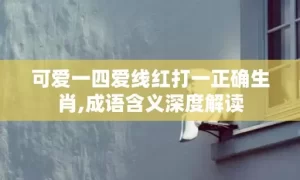可爱一四爱线红打一正确生肖,成语含义深度解读