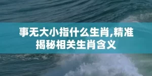 事无大小指什么生肖,精准揭秘相关生肖含义