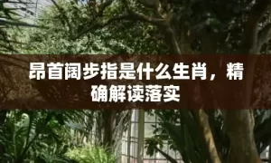 昂首阔步指是什么生肖,精确解读落实缩略图 昂首阔步指是什么生肖,精确解读落实