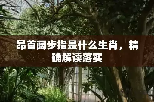 昂首阔步指是什么生肖，精确解读落实插图