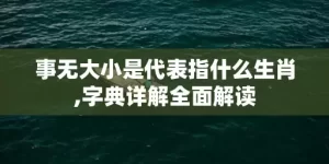 事无大小是代表指什么生肖,字典详解全面解读