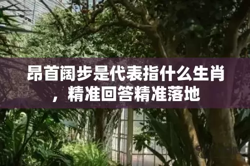 昂首阔步是代表指什么生肖，精准回答精准落地插图