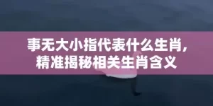 事无大小指代表什么生肖,精准揭秘相关生肖含义