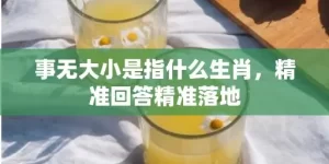 事无大小是指什么生肖，精准回答精准落地