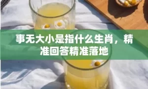 事无大小是指什么生肖，精准回答精准落地