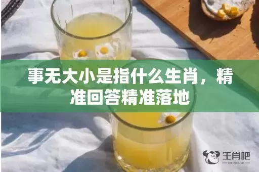 事无大小是指什么生肖，精准回答精准落地插图