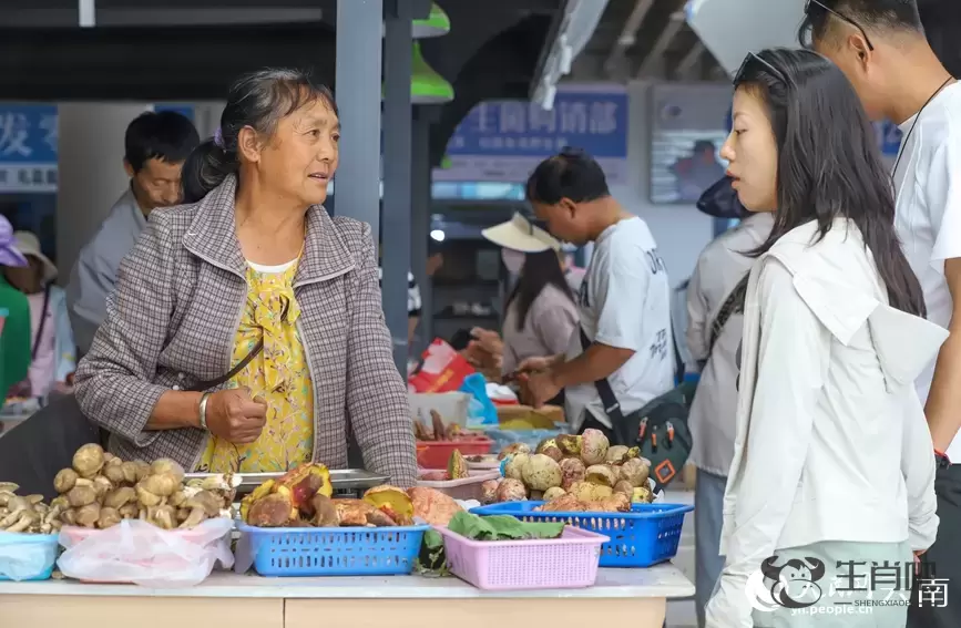云南南华野生菌上市热销 年产值破76亿元插图8