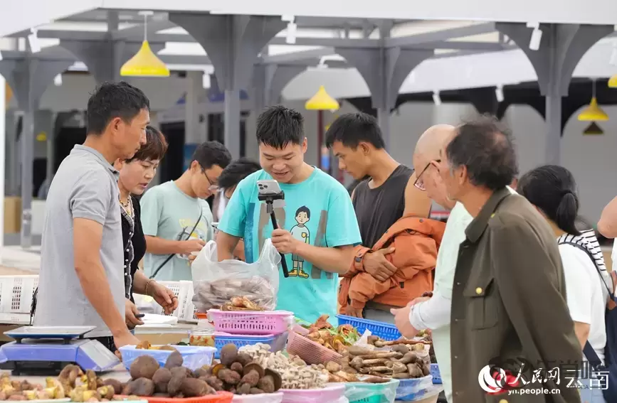 云南南华野生菌上市热销 年产值破76亿元插图16