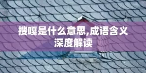 搜嘎是什么意思,成语含义深度解读