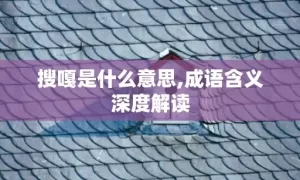 搜嘎是什么意思,成语含义深度解读