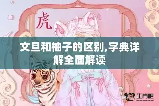 文旦和柚子的区别,字典详解全面解读