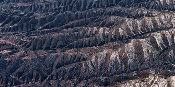 千沟万壑是什么生肖（千沟万壑打一生肖） 