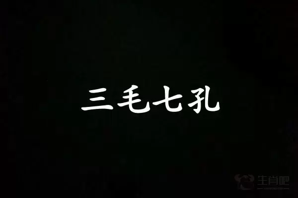 三毛七孔