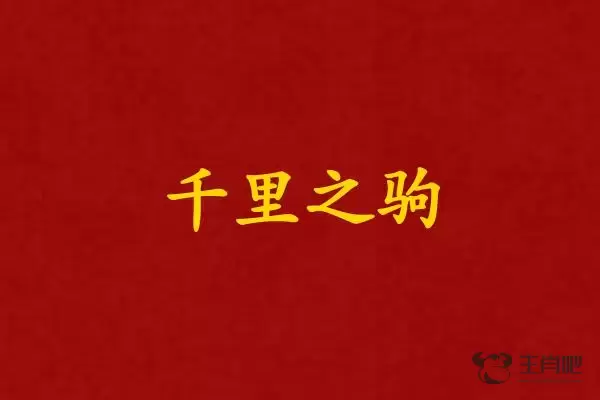 千里之驹