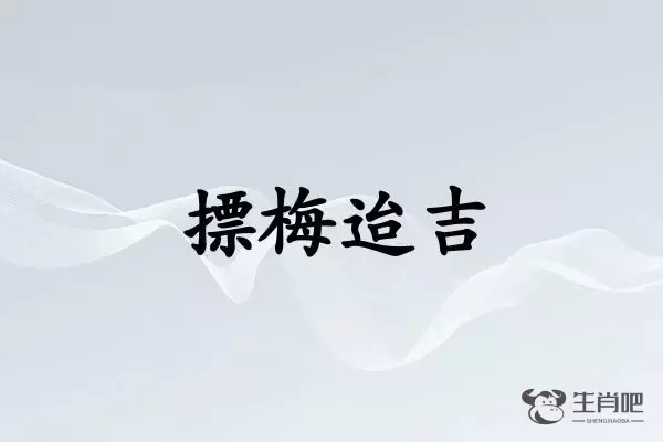 摽梅迨吉