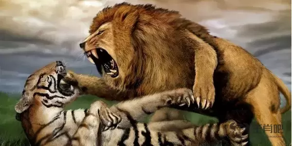 雄狮猛虎是什么生肖猜测是什么生肖动物