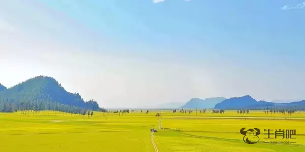 苦口婆心是什么生肖猜测是什么生肖动物