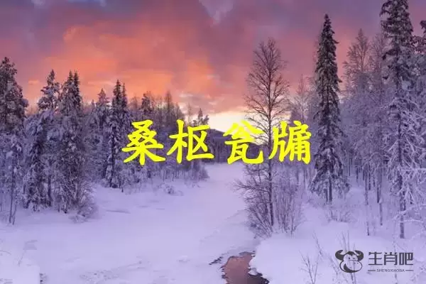 桑枢瓮牖