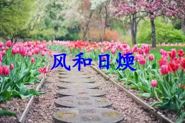风和日煗是什么生肖（风和日煗打一生肖）