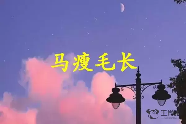 马瘦毛长