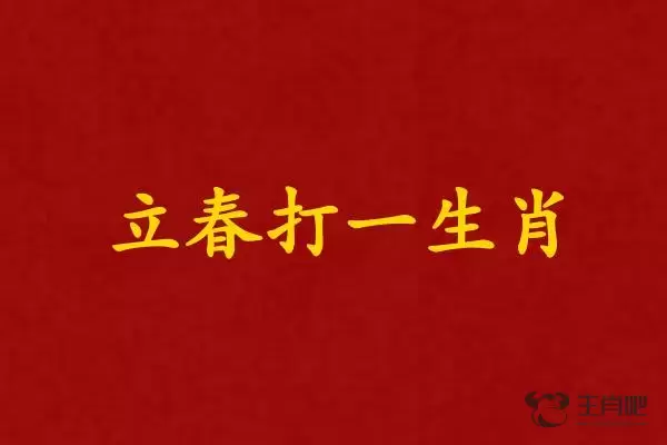 立春打一生肖